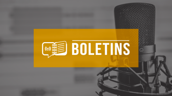 Boletins